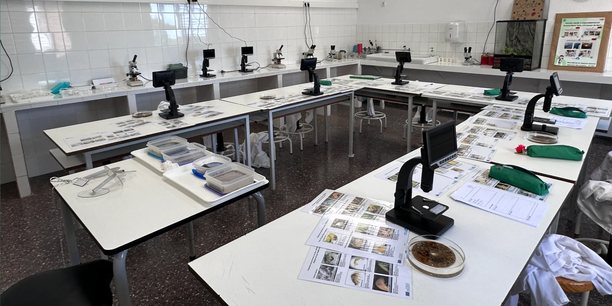 Virtue Teaching resources