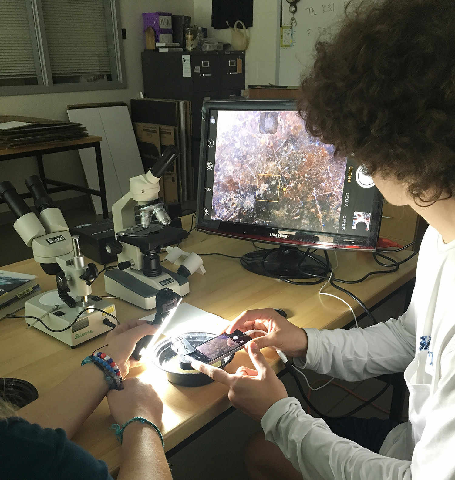 Photo: Jesse Meiller