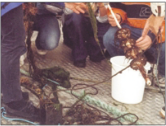 VIRTUE racks in Bergen, Norway, at the beginning of the project