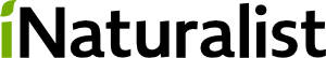iNatiralist logo