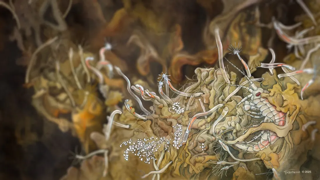 Illustration by Talia Mastalski